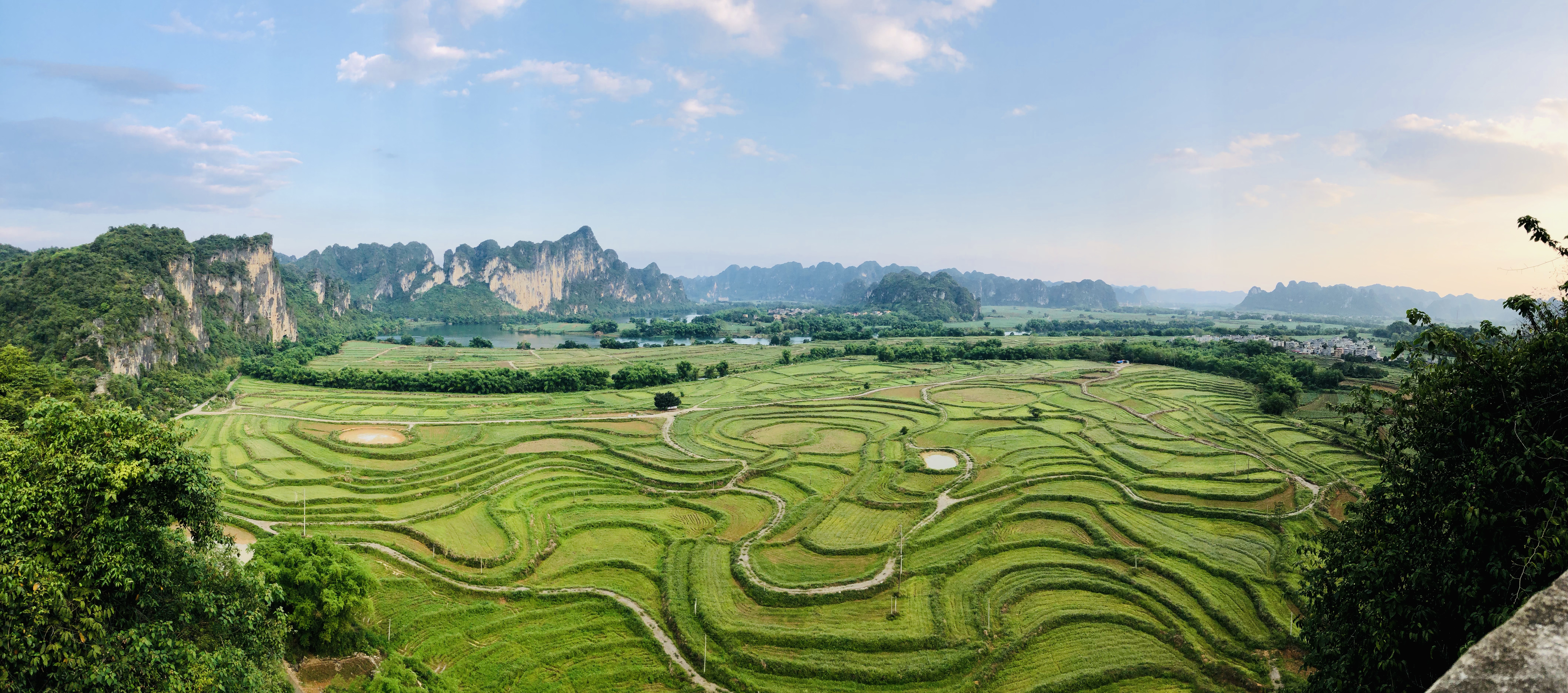 共生之美，生态家园